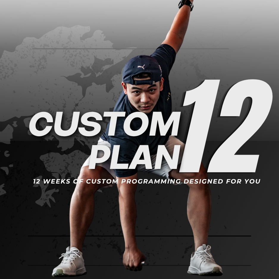 CUSTOM 12 WEEKS PLAN